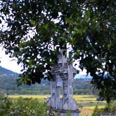 椿野咖啡館（和順店）張用戶圖片