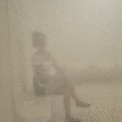 惠州中海湯泉飯店·滿庭芳餐廳張用戶圖片