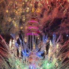 杨记灌肠(食品街店) User Photo