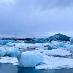 Heimahumar - Local Langoustine User Photo