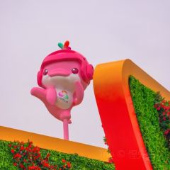 FREE TIME User Photo