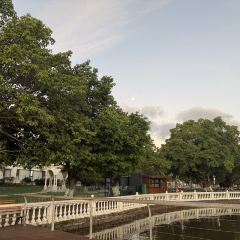 西昌術下飯店（邛海濕地公園月色風情小鎮店）·餐廳張用戶圖片
