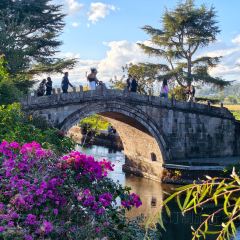 邓氏大薄片 User Photo