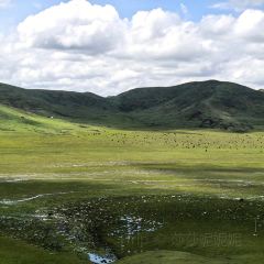 臘子口藏家樂張用戶圖片