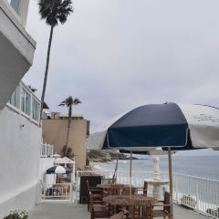 oak Laguna Beach張用戶圖片