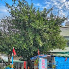 咖利树饭店 User Photo