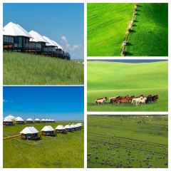 AO LU GU YA User Photo