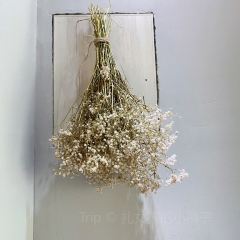 柒拾張用戶圖片