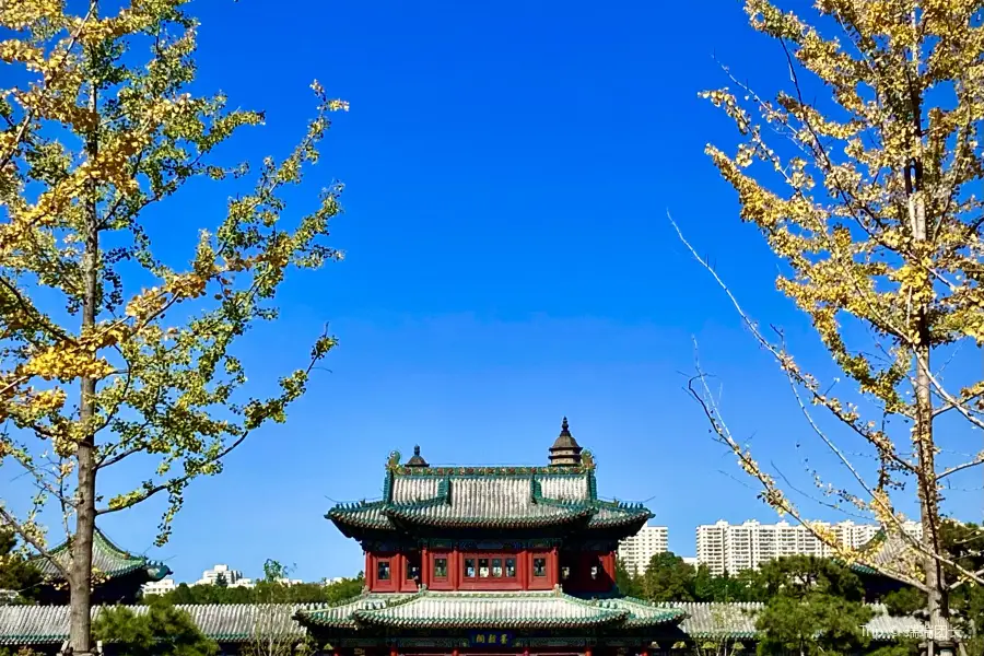 Shuangta Park