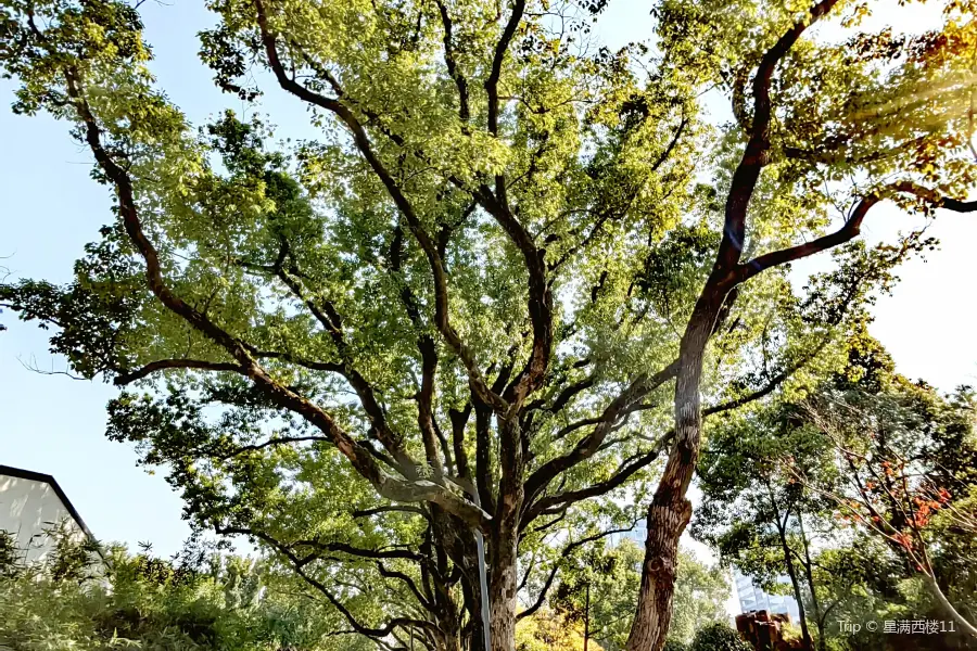 Ningbo Ludao Park