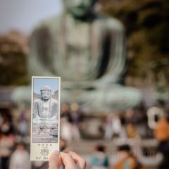 Sangosho Moana Makai User Photo