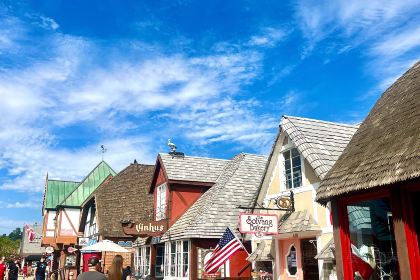 Danish Mill Bakery Inc