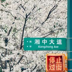 花之林(湘中大道店) User Photo