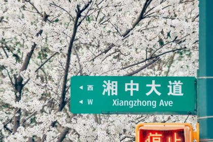 花之林人文茶馆(湘中大道店)