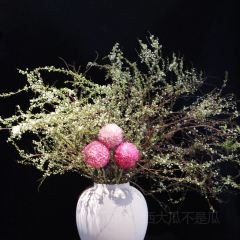 CHIHO JAPANESE CUISINE User Photo