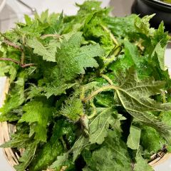凌玉酸汤鸡(二店) User Photo