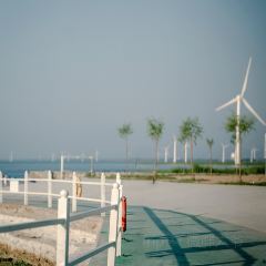 观湖台 User Photo