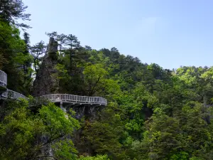 Swallow Ridge Viewing Point