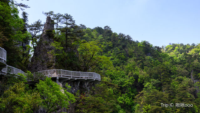 Swallow Ridge Viewing Point