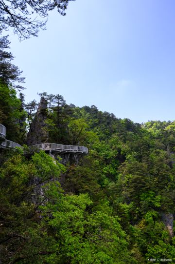 Swallow Ridge Viewing Point