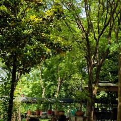 獨一處草堂張用戶圖片