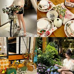 Jinhuashiliyinyuecanba User Photo