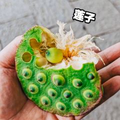 旭国抹茶面馆 User Photo