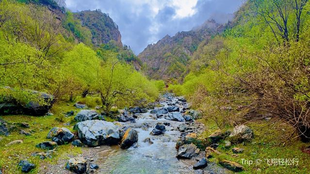 Chahan River Scenic Area