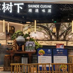 大榕树下(东方宝泰店) User Photo