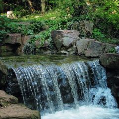 含晖面馆(虞景文华店) User Photo