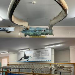 Wharfside Cafe張用戶圖片