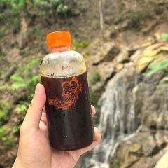 Jungle De Cafe User Photo