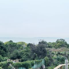 山水舫張用戶圖片