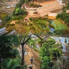 SA MA BA 여행 사진