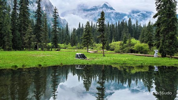 wang lang jing qu gan hai zi