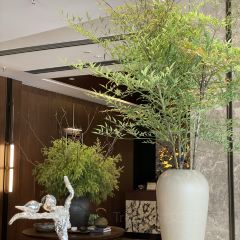 普济太安鱼(旺苍店) User Photo