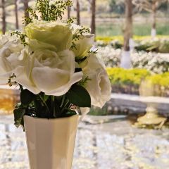 Qisu Court User Photo