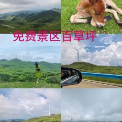 贵鑫综合农贸市场 User Photo