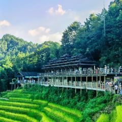 隐沫度假酒店(龙脊梯田观景台店)·观景餐厅 User Photo