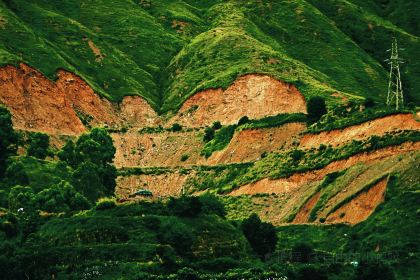 芋見張宜花園（鹽邊預告店）