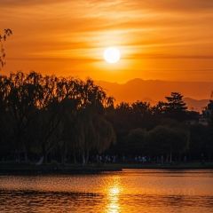 WU GU FENG DENG User Photo