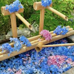 天香蟹园·正宗自产自销(阳澄湖莲花岛店) User Photo