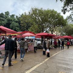 双龙烧烤城 User Photo