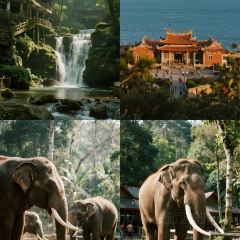 RONG CUISINE User Photo