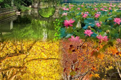 佳藕天成(南宋御街店)