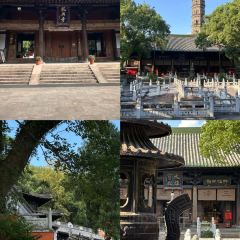 王阿姨梅花糕 User Photo