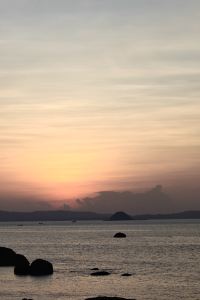 M310871**** 惠安達利世紀飯店優惠