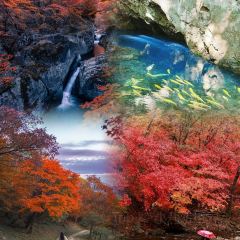 Number One User Photo