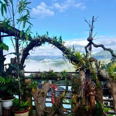 申记臭豆腐煮鱼(五一步行街店) User Photo