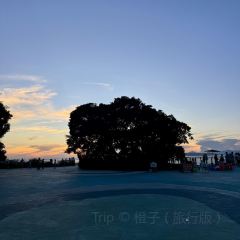 NANAODAO PUNCH IN JUICE ICE COMPANY User Photo